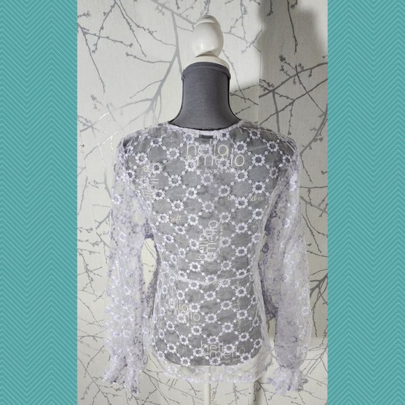 Zara Lilac Mesh Floral Embroidered Sheer Blouse - Picture 4 of 5